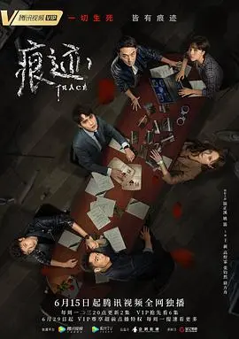 《痕迹》:一场关于记忆与身份的追寻之旅,悬疑背后的人性拷问